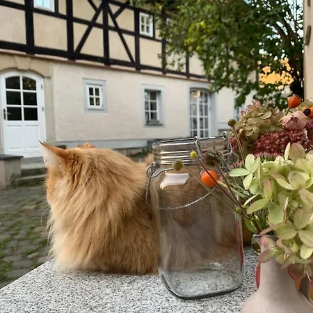 Auf Denkmalgeschuetztem Dreiseithof In Bei Grimma *