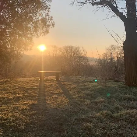Auf Denkmalgeschuetztem Dreiseithof In Bei Grimma * Höfgen