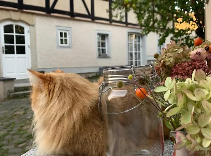 Auf Denkmalgeschuetztem Dreiseithof In Bei Grimma *